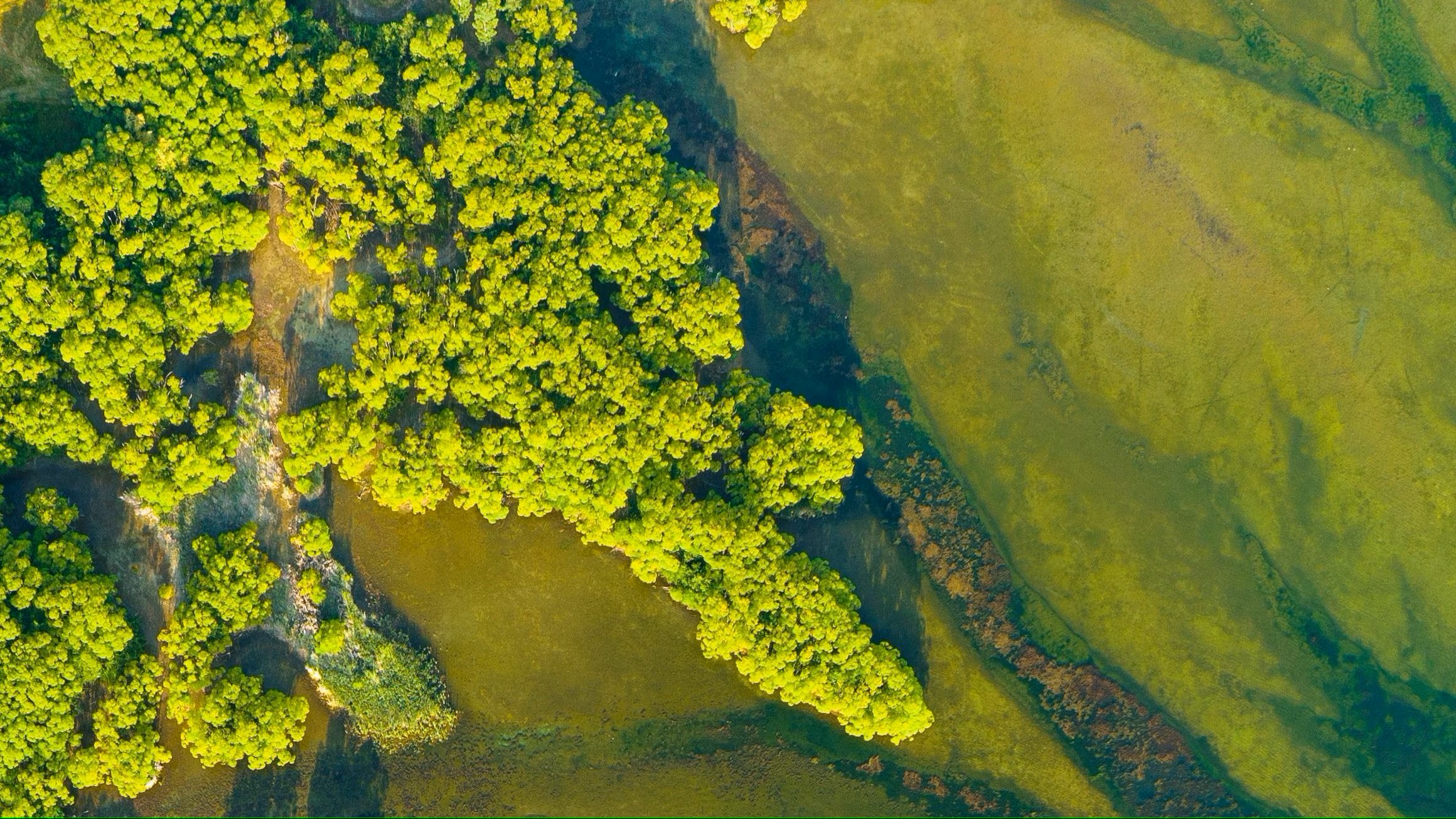 Why Sustainability Still Matters